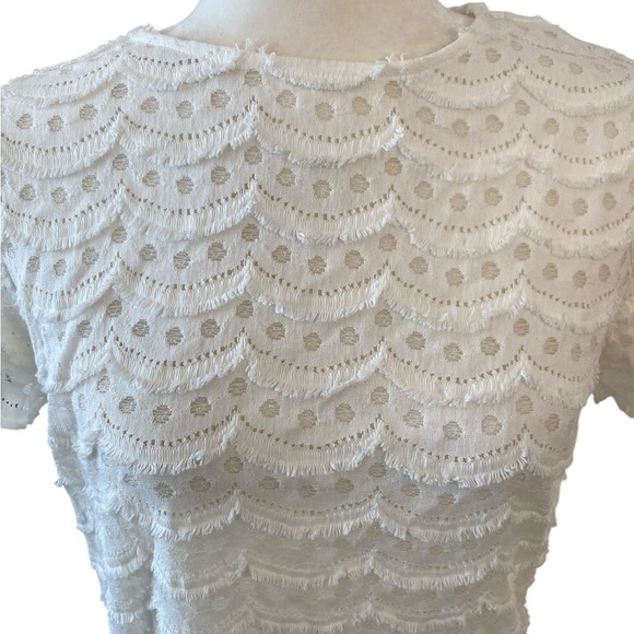 Sara Campbell Womens White Lacey Sheer Top Blouse Size Small Casual Preppy - Picture 5 of 8